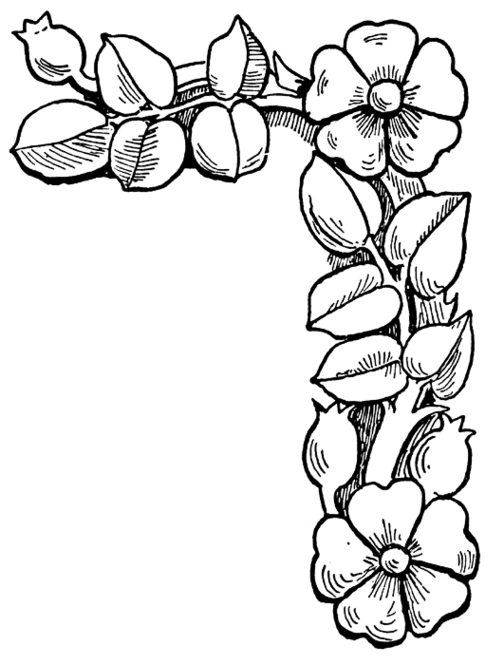 Floral Coloring Pages 1000 Ideas About Flower Coloring Pages On ...