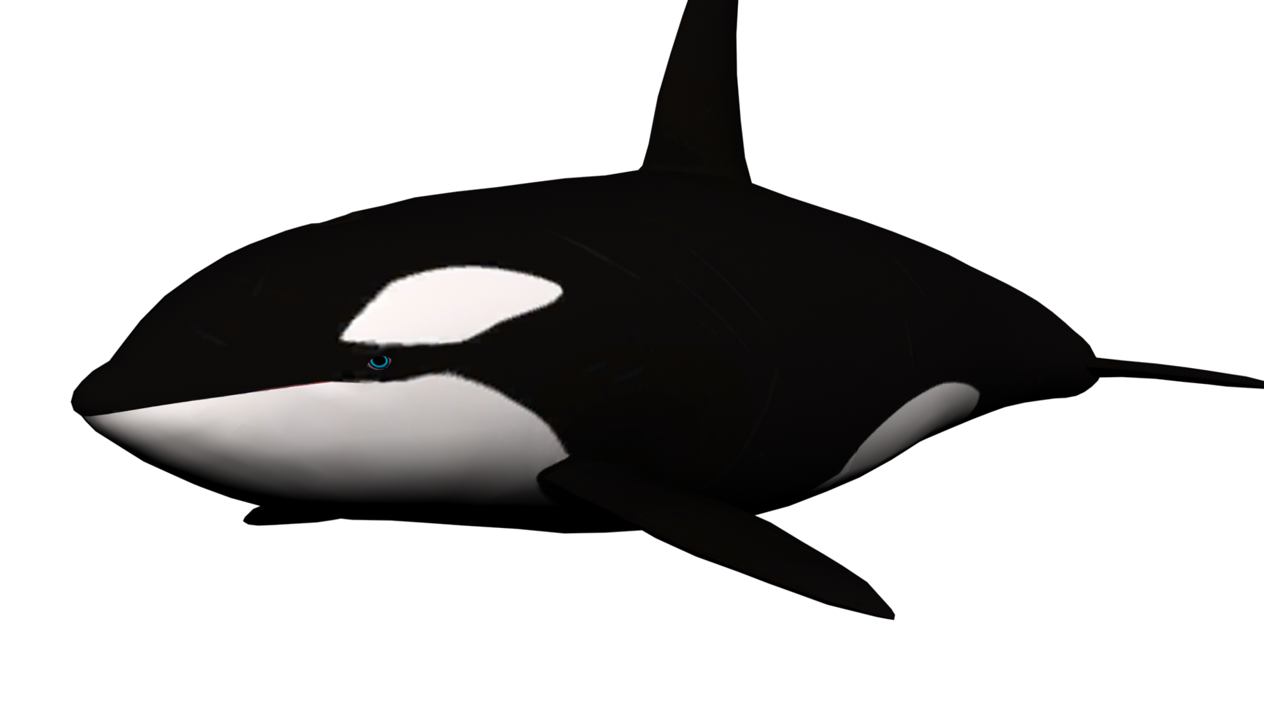 Shamu Clipart Clipart - Free to use Clip Art Resource