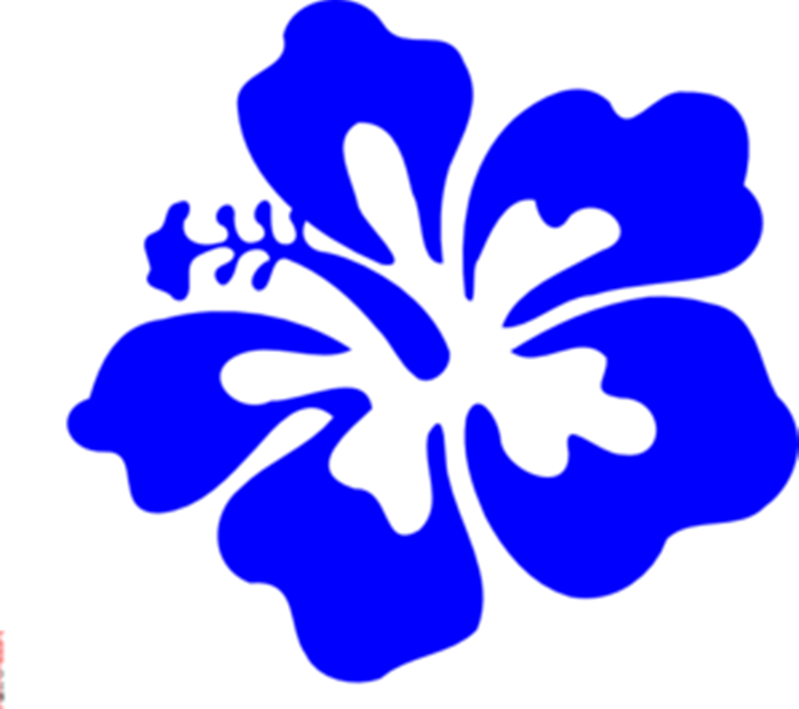 Hawaiian flower drawing clipart