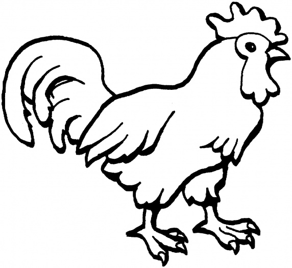 OUTLINE PICTURE OF HEN - ClipArt Best