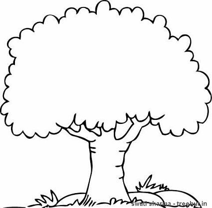 Colouring Pictures Of A Tree Clipart Best