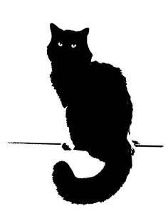 Cats - Art of the Black Cat | Cat Silhouette, Black ...