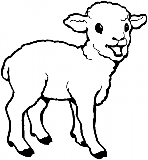 Sheep and Lamb Coloring Pages