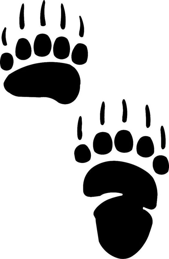 Bear paws, Paw print tattoos and Print tattoos