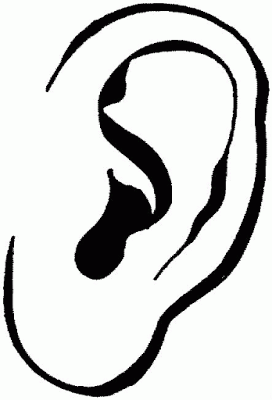 Clipart Ear Drawings - ClipArt Best