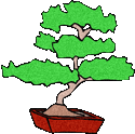 1-bonsai-tree-1.gif