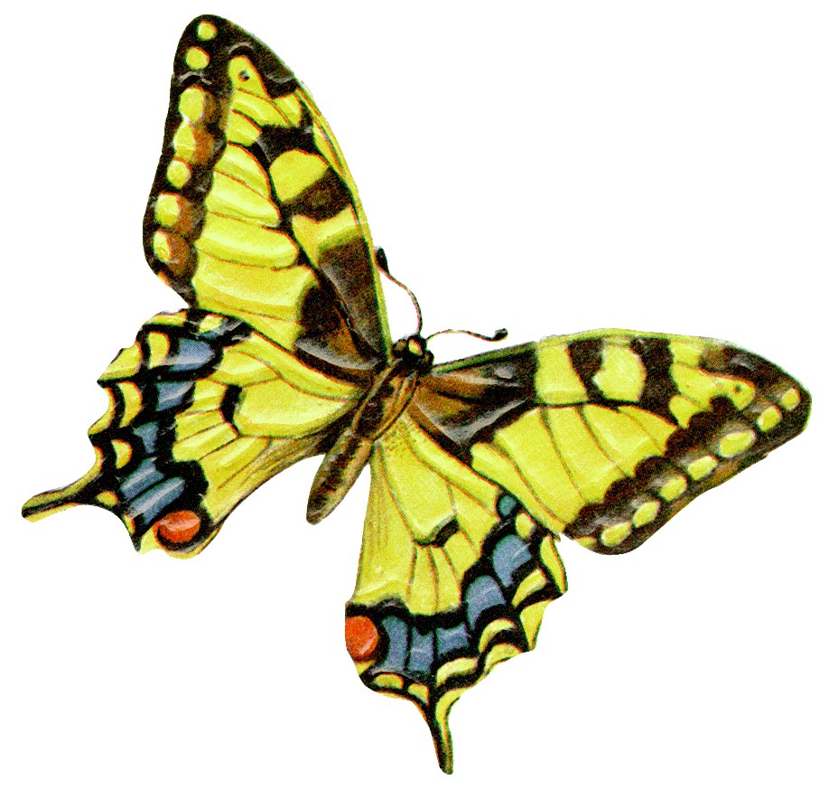 9 Best Images of Yellow Butterfly Clip Art Free Printable ...