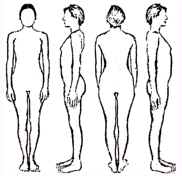 Outline Drawing Of Human Body - ClipArt Best