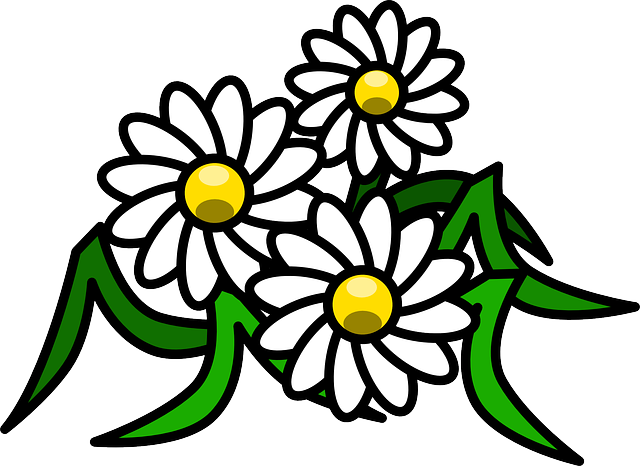 FLOWER, WHITE, FLOWERS, CARTOON, GRASS, COLOR, DAISY - Public ...