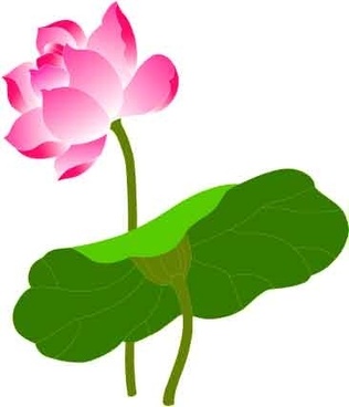 Vector lotus free vector download (142 Free vector) for commercial ...