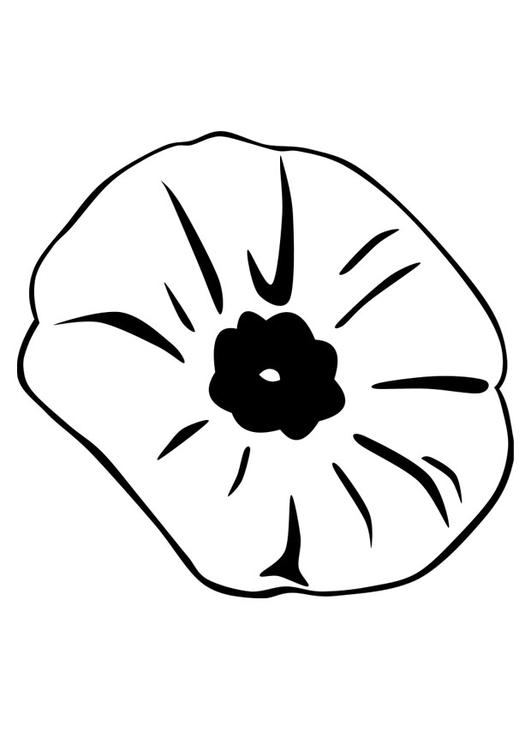 Coloring page poppy - img 22899.