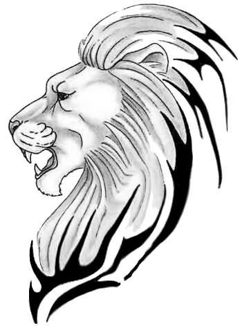 Lion Head Drawing | Free Download Clip Art | Free Clip Art | on ...