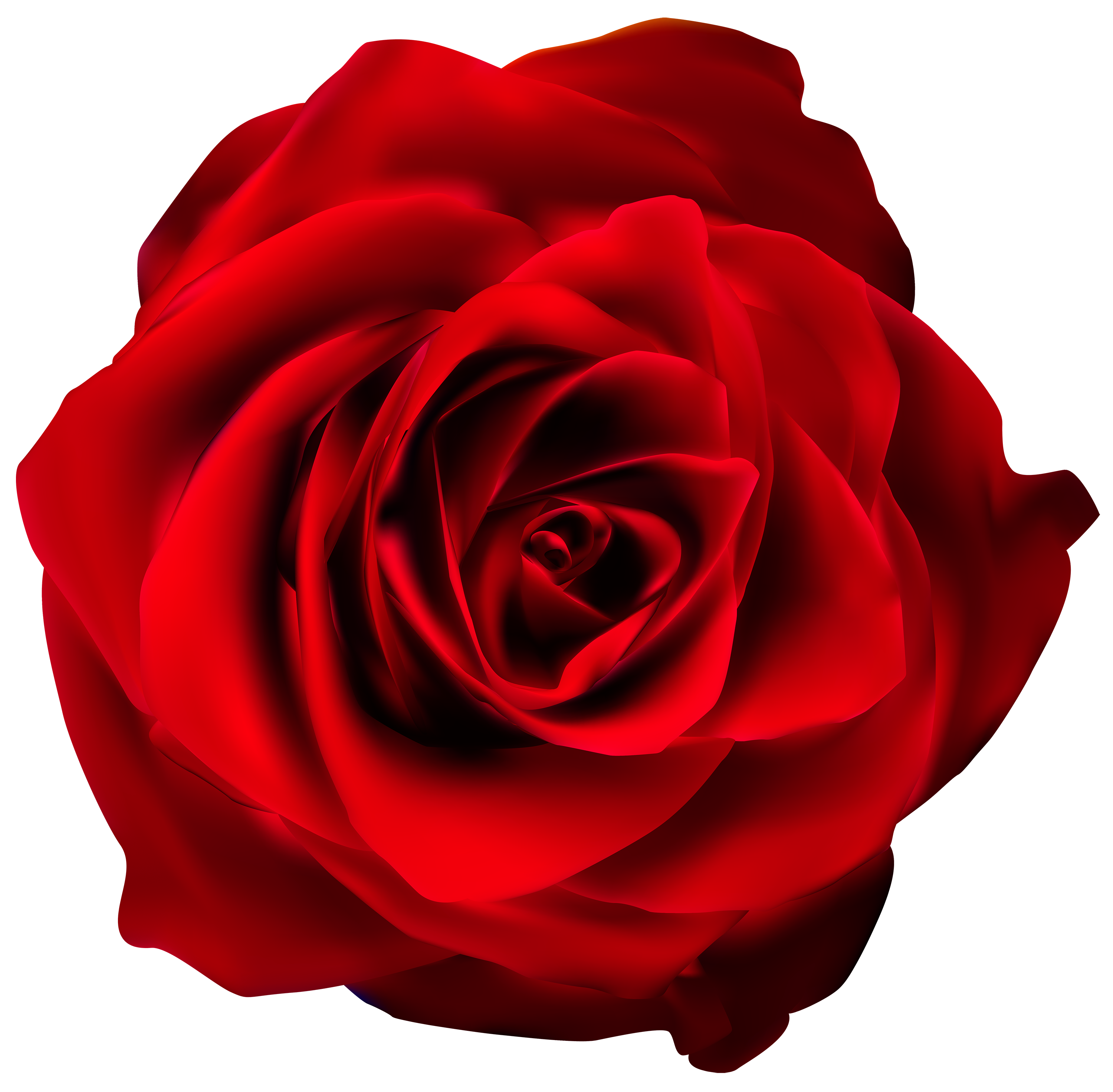 Rose Png Clip Art Images And Photos Finder