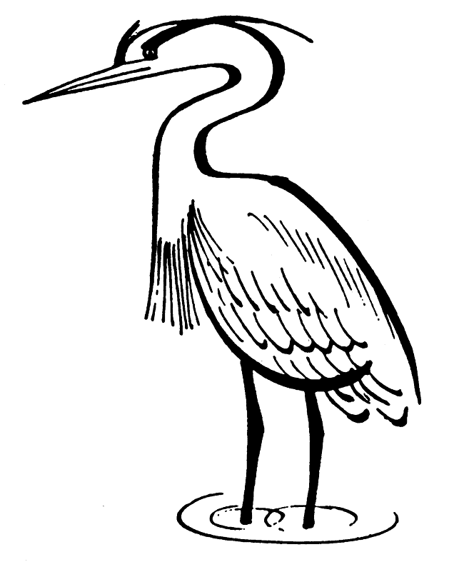 Herons, Clip art and Stock illustrations