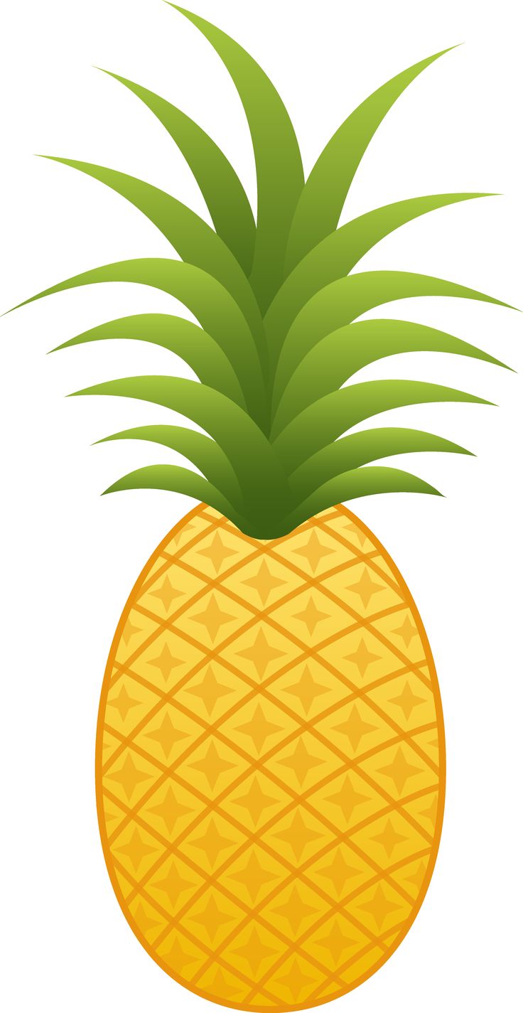 Pineapple Clipart | Free ...