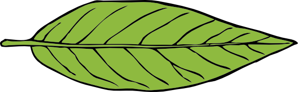Leaf Clip Art - Vergilis Clipart