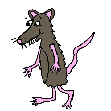 Possum Clipart - Tumundografico
