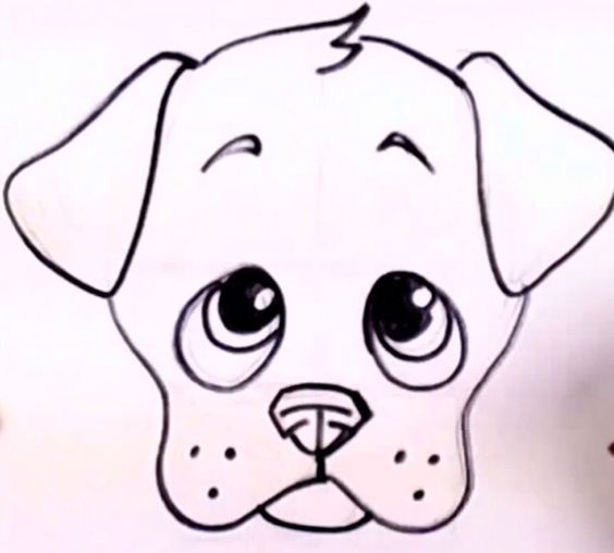 Easy to draw a cute puppie | Drawing | Pinterest