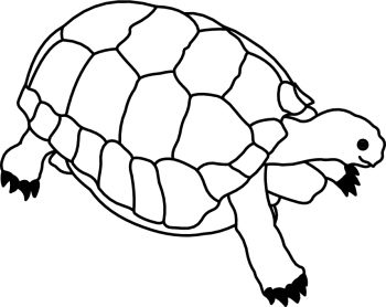 Black And White Turtle Clip Art Image - Quoteko.