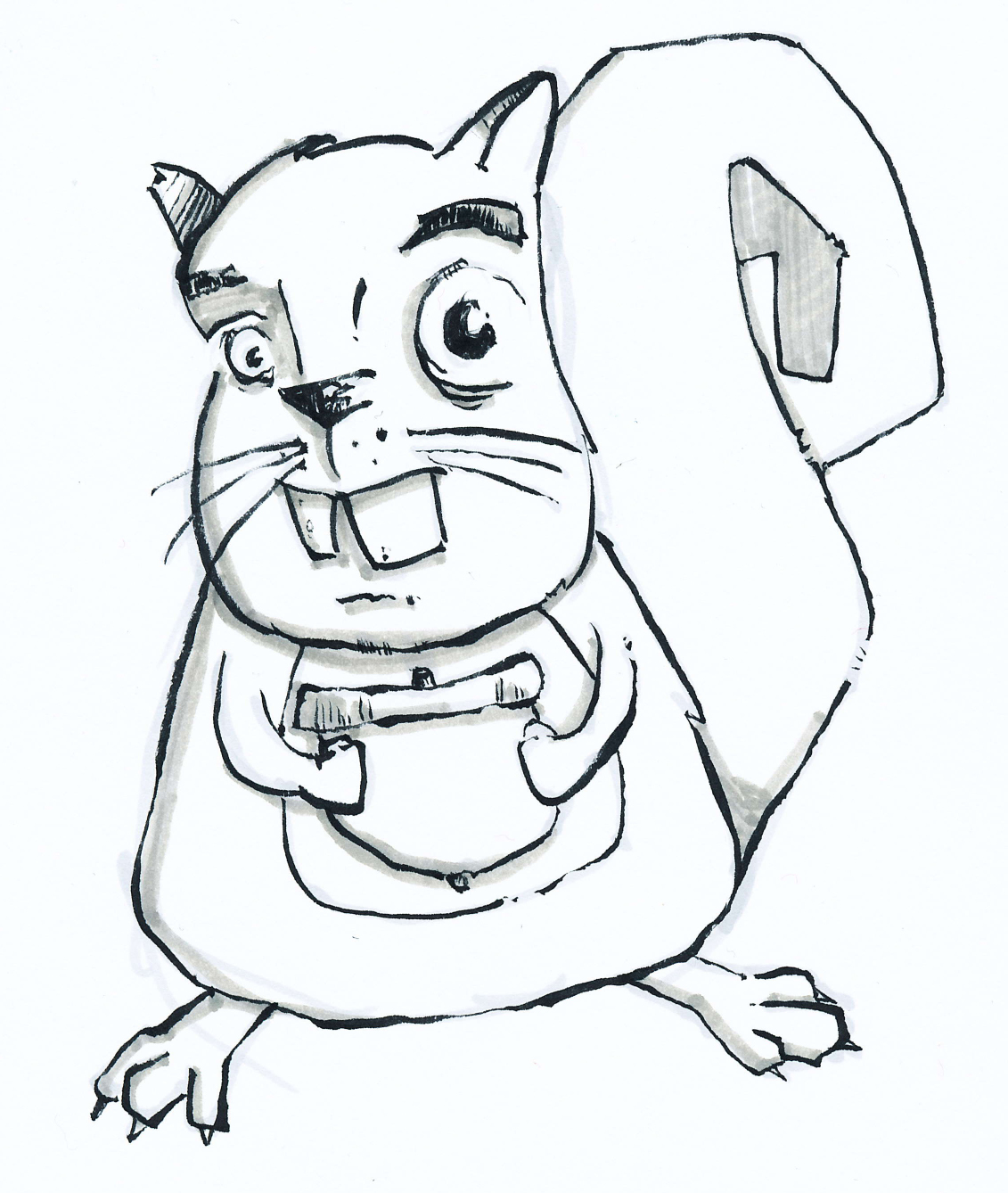 Cute Squirrel Drawing