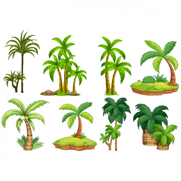 Palm trees designs collection Vector | Premium Download