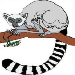 Free Lemur Clipart