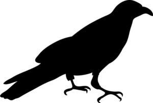 Bird Crow Clipart