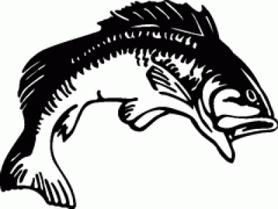 Clipart bass fish