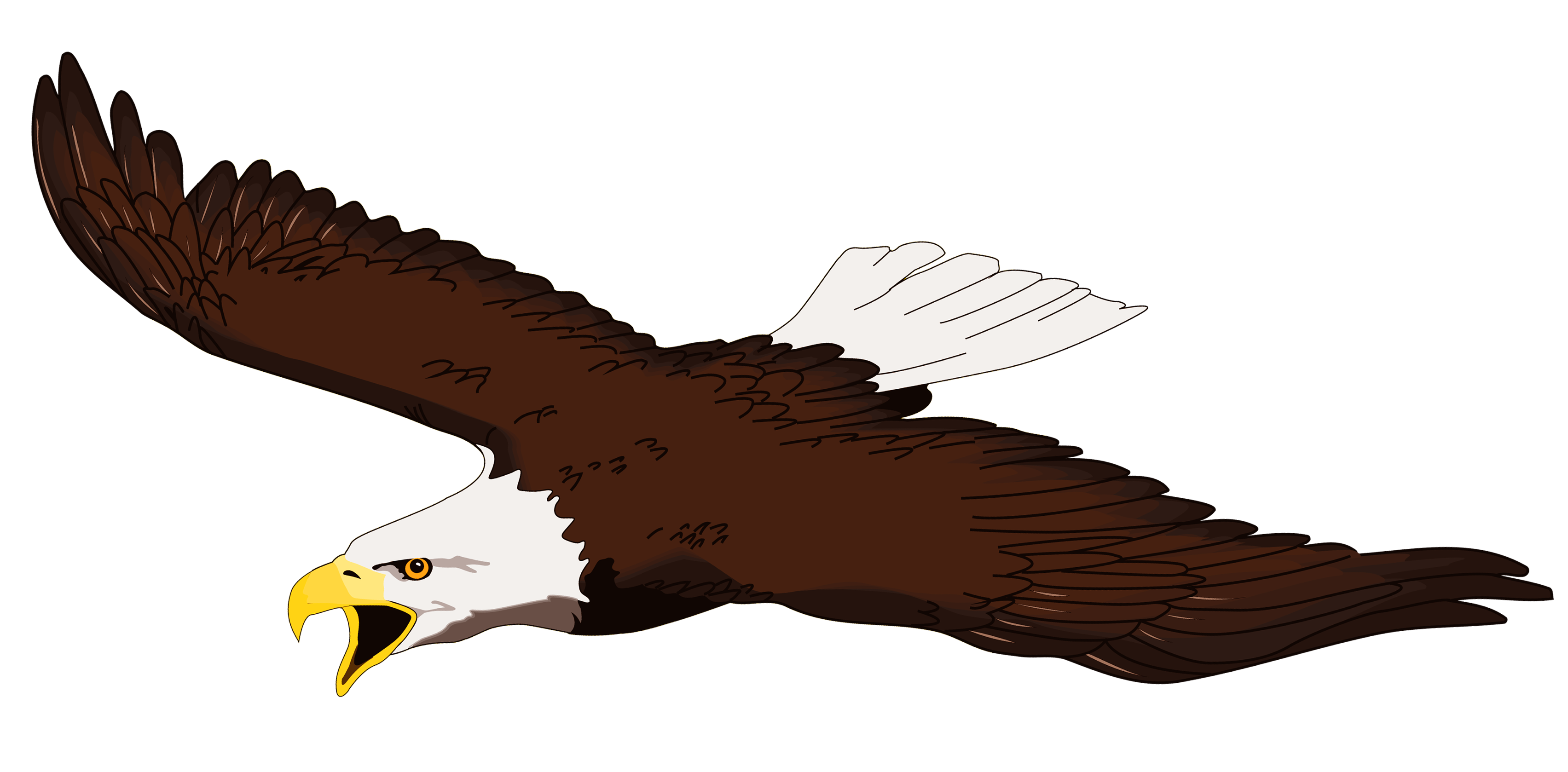 Wedge tailed eagle clipart