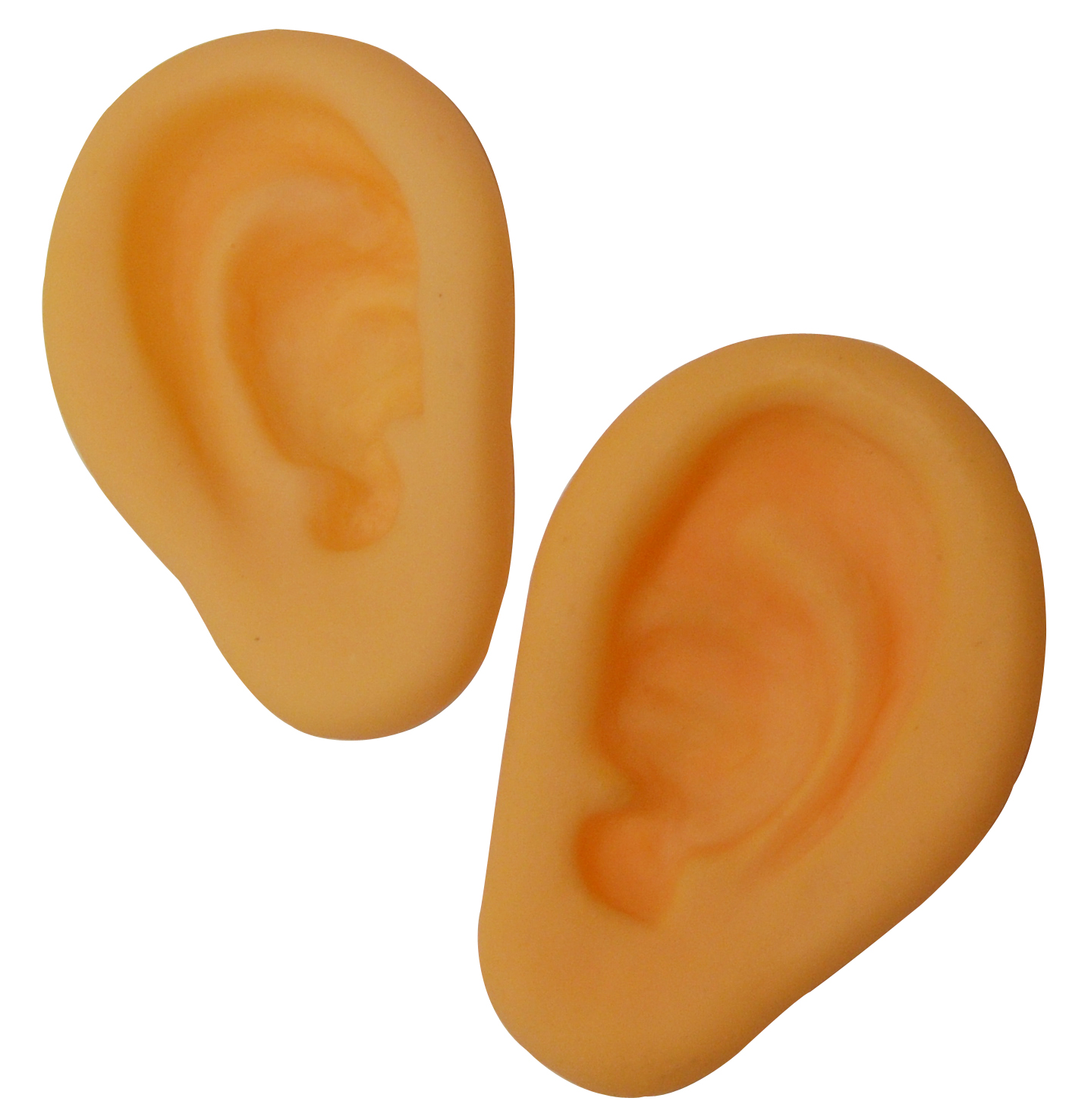 Ear Clip Art Free - Free Clipart Images