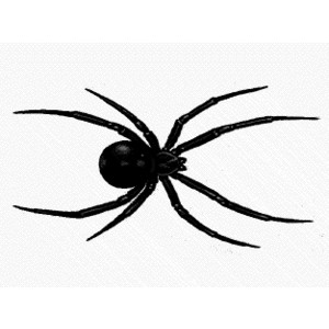 Free Spiders Clipart. Free Clipart Images, Graphics, Animate ...