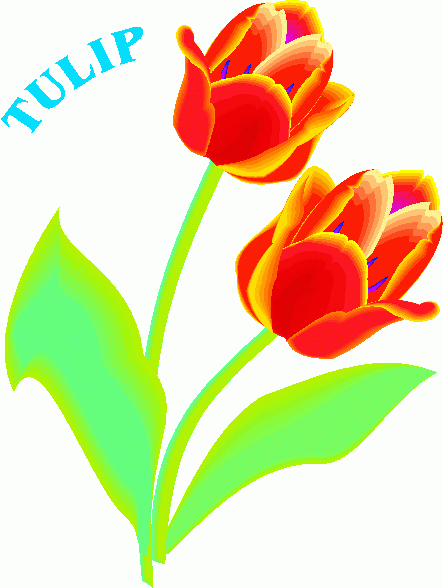 Tulip Images Clip Art