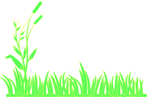 Grass Clip Art to Download - dbclipart.com