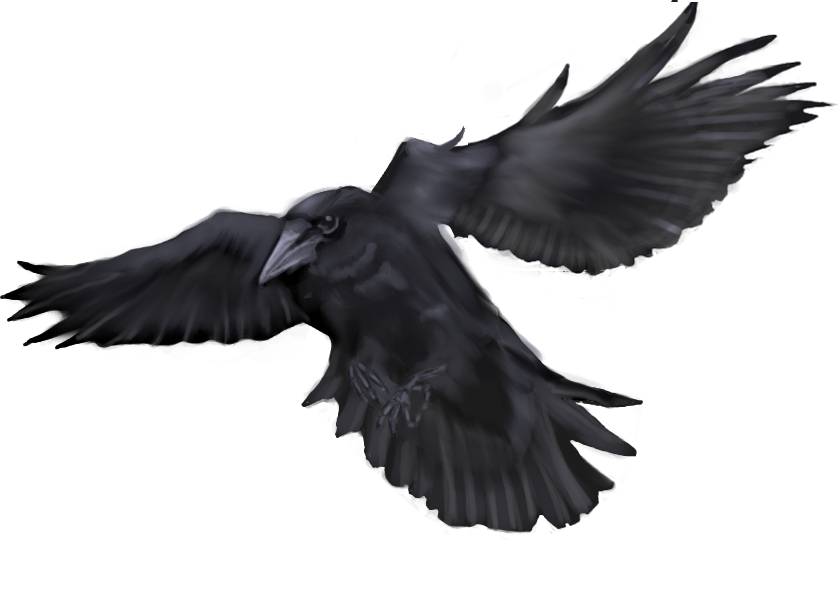 Flying Crow Png | Free Download Clip Art | Free Clip Art | on ...