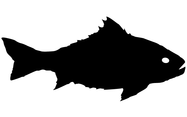 Silhouette of fish clipart