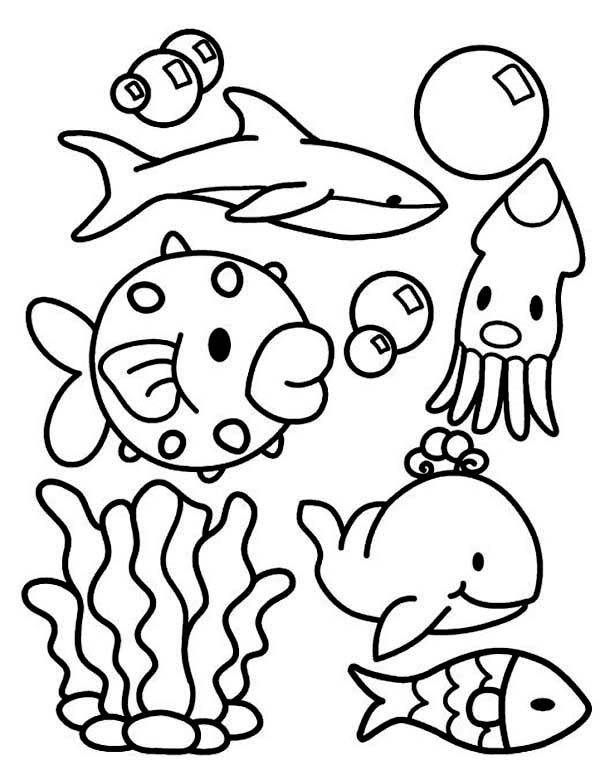 Sea Animal Coloring Page - Ccoloringsheets.com