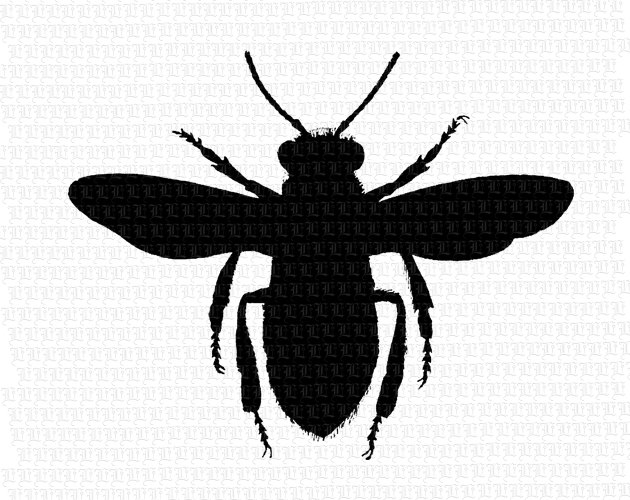 Bee Silhouette | Free Download Clip Art | Free Clip Art | on ...