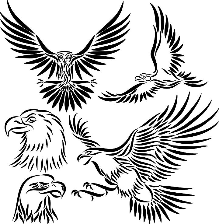 Eagle Wings Design