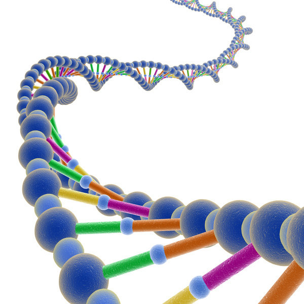 Double Helix Art - ClipArt Best