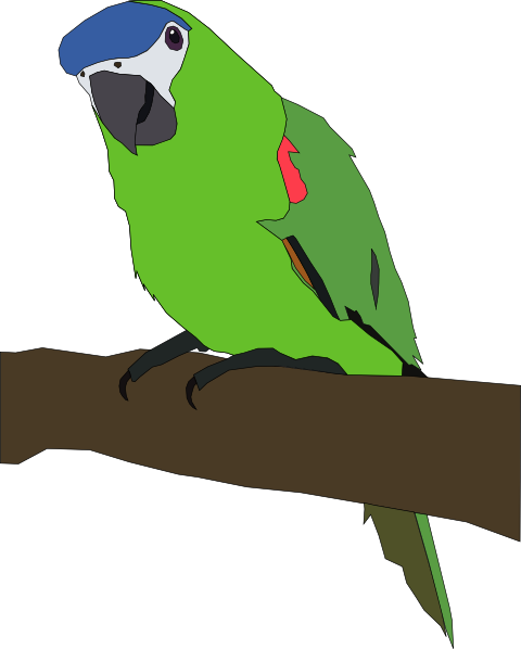 Parrot Clip Art - vector clip art online, royalty ...