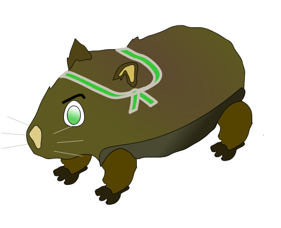 Cartoon Wombat - ClipArt Best