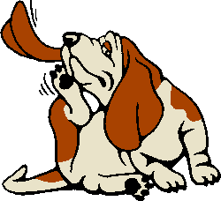 Dog clipart images, icons < Free graphics