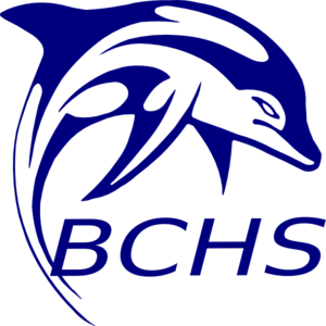 Bchs Dolphin clip art - vector clip art online, royalty free ...