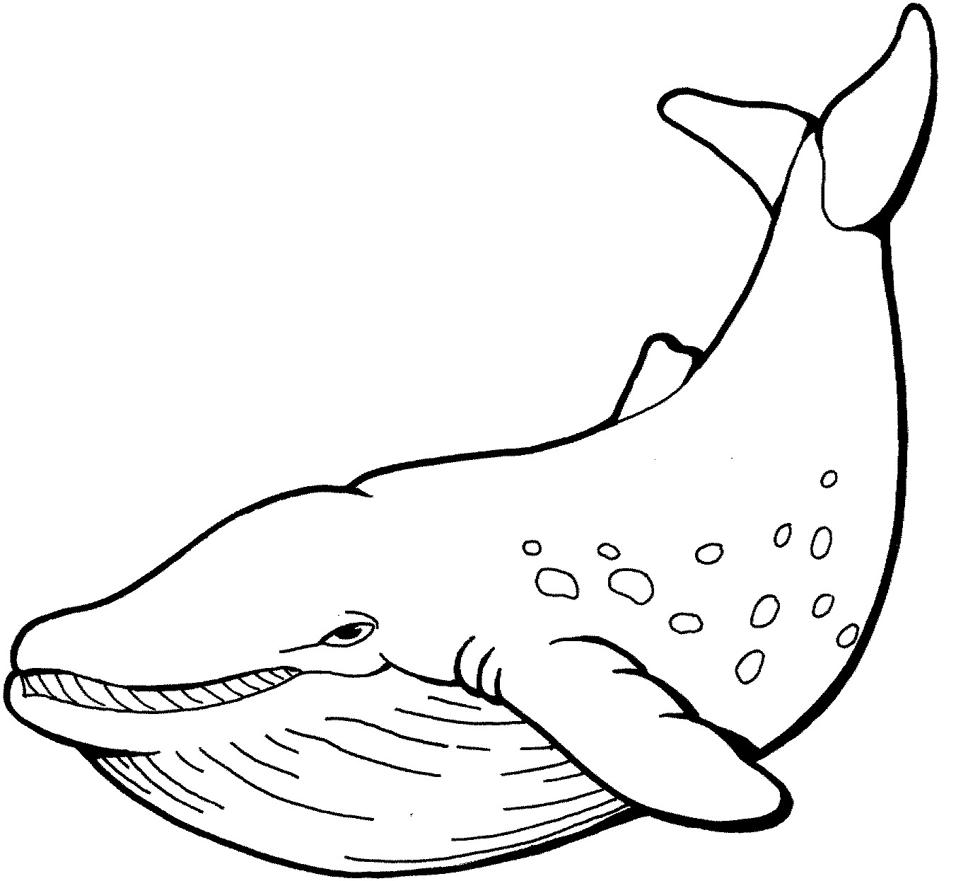 Whale Line Drawing - ClipArt Best