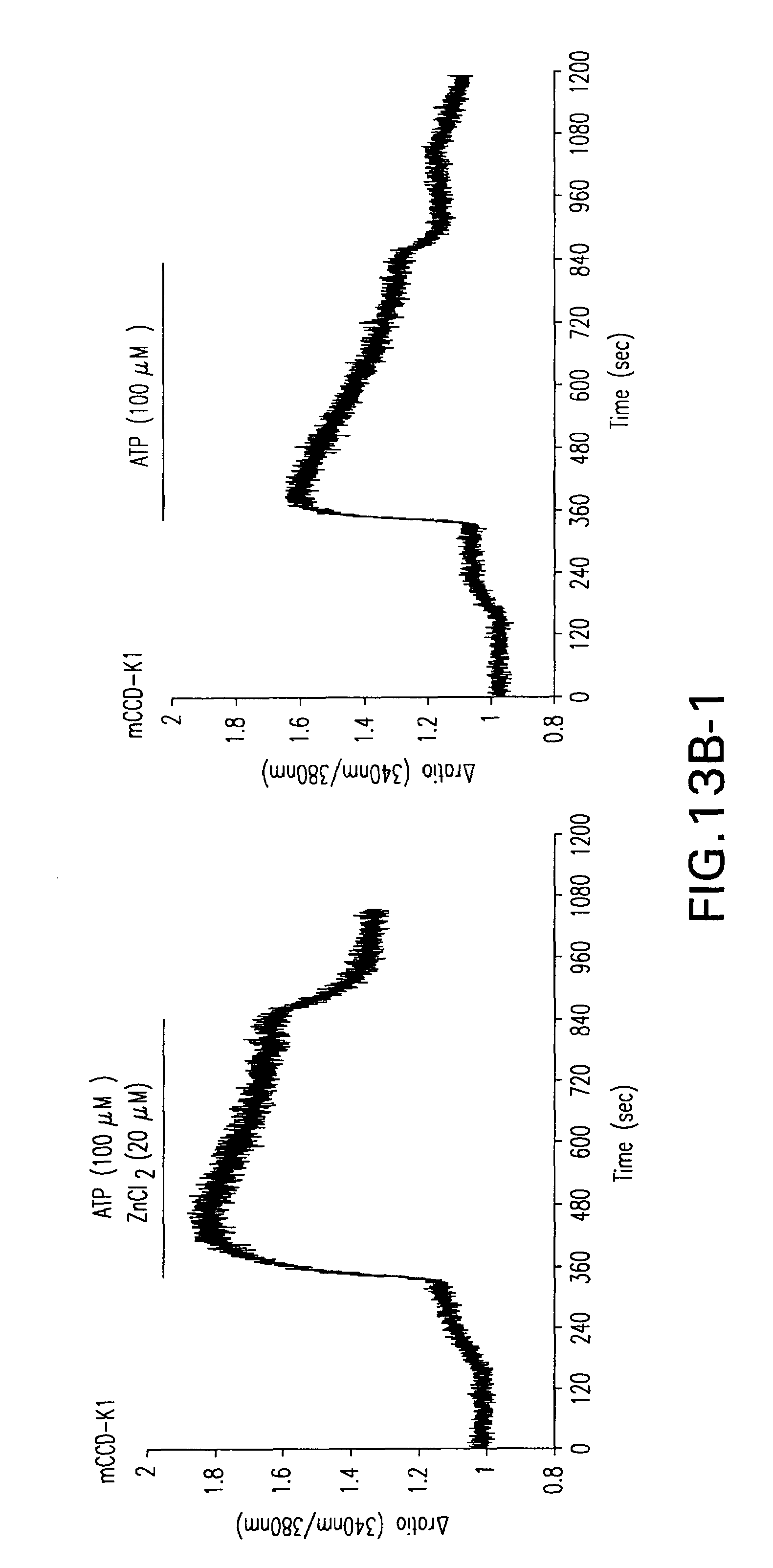 Patent US7524517 - Methods and compositions for P2X receptor ...