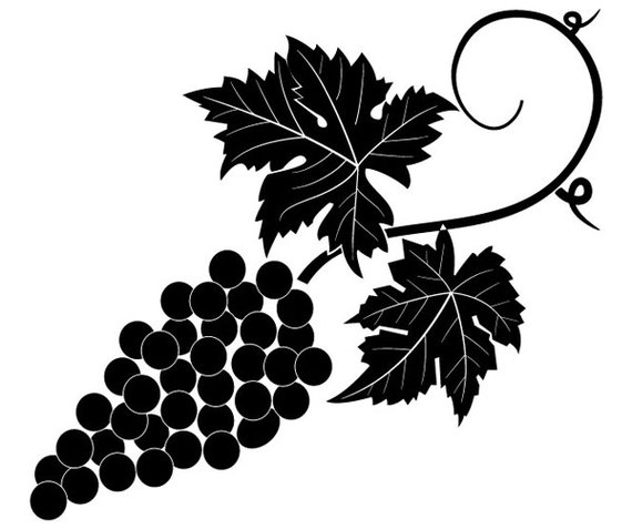 Grapevine Vector Image Free Graphics Art Designs Clipart - Free to ...