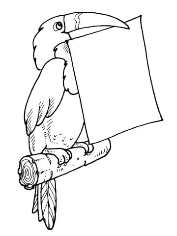 Toucan Holds a Letter in Its Bill coloring page | Free Printable ...