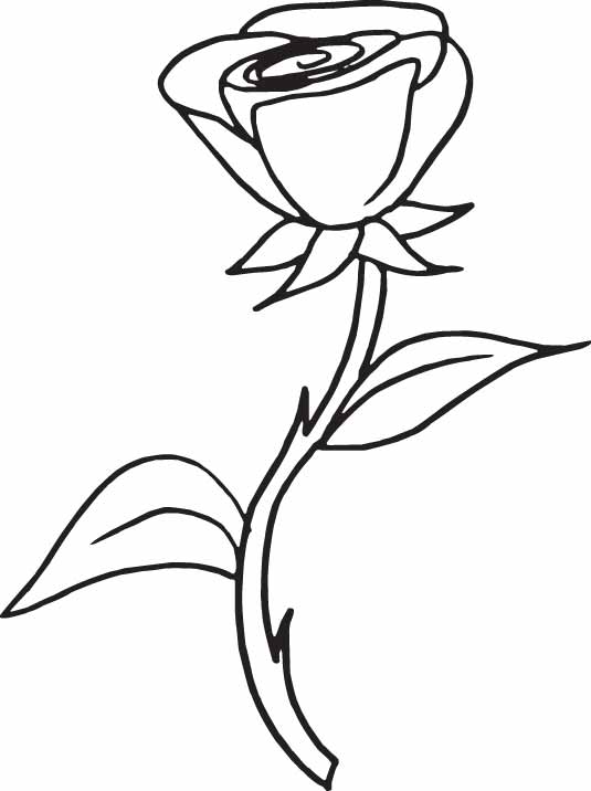 Coloring Pages Draw A Rose Coloring Pages For Kids - Coloring Page ...