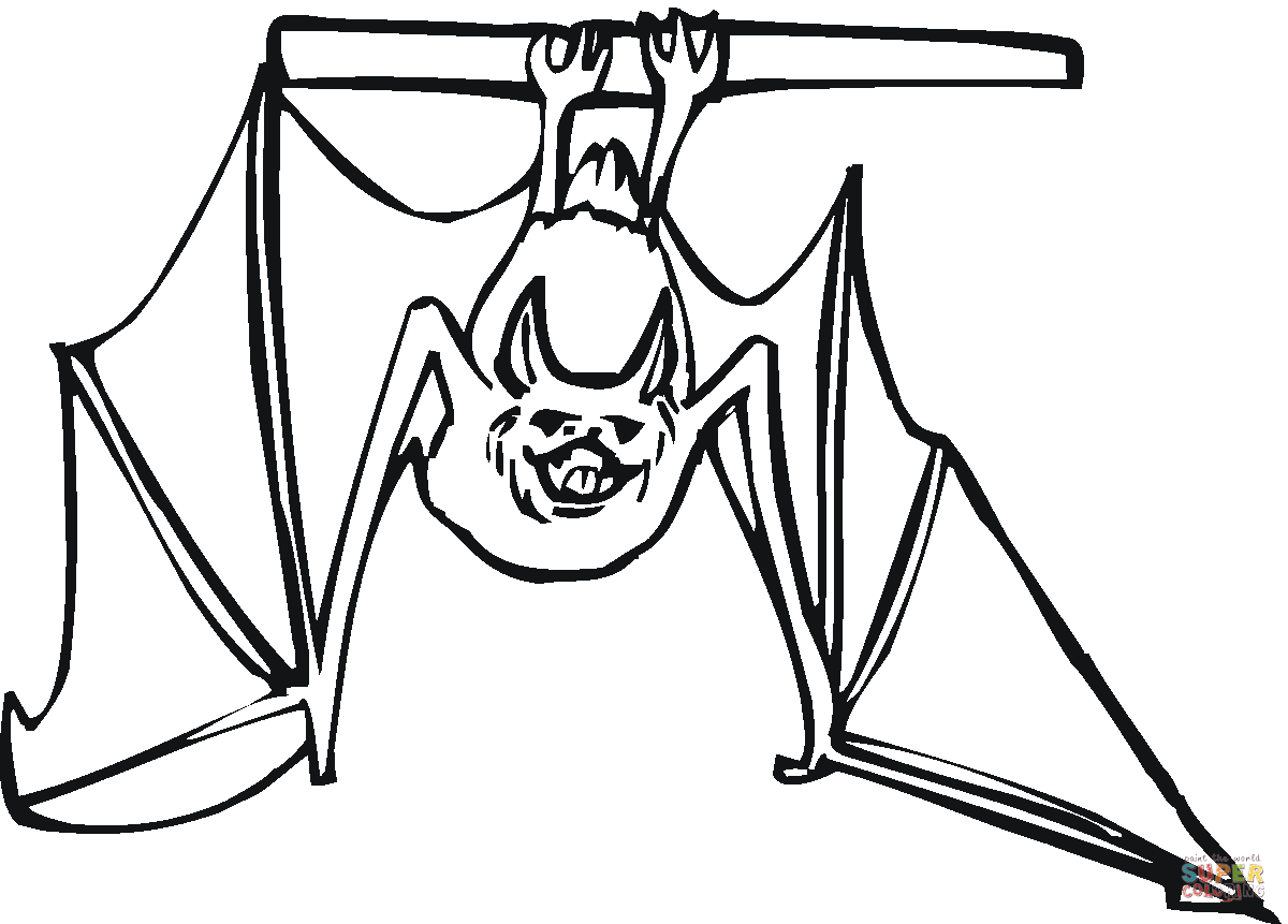 Bat hanging upside down coloring page | Free Printable Coloring Pages