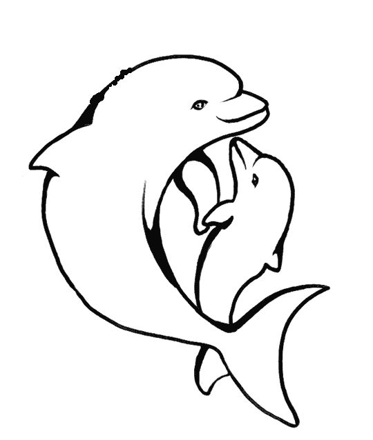 Coloring, Coloring pages and Dolphins
